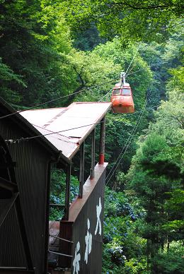 b0058285_10235956.jpg