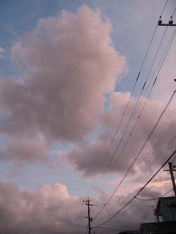 e0130185_1931070.jpg