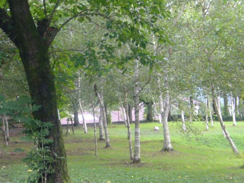 e0078187_973626.jpg