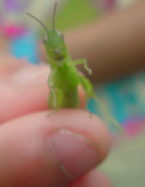 e0078187_991497.jpg
