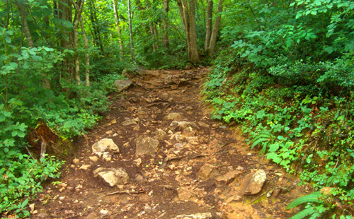 b0099994_17465283.jpg