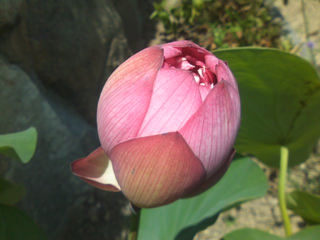 f0077595_15552944.jpg