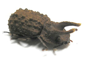 e0083097_23545230.jpg