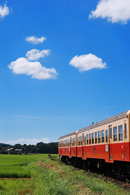 f0178900_214566.jpg