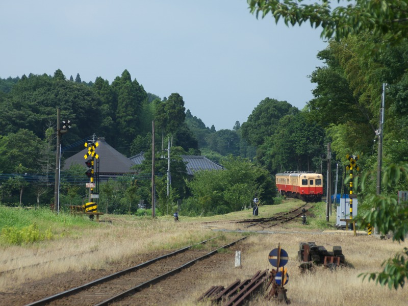 f0224100_5453028.jpg