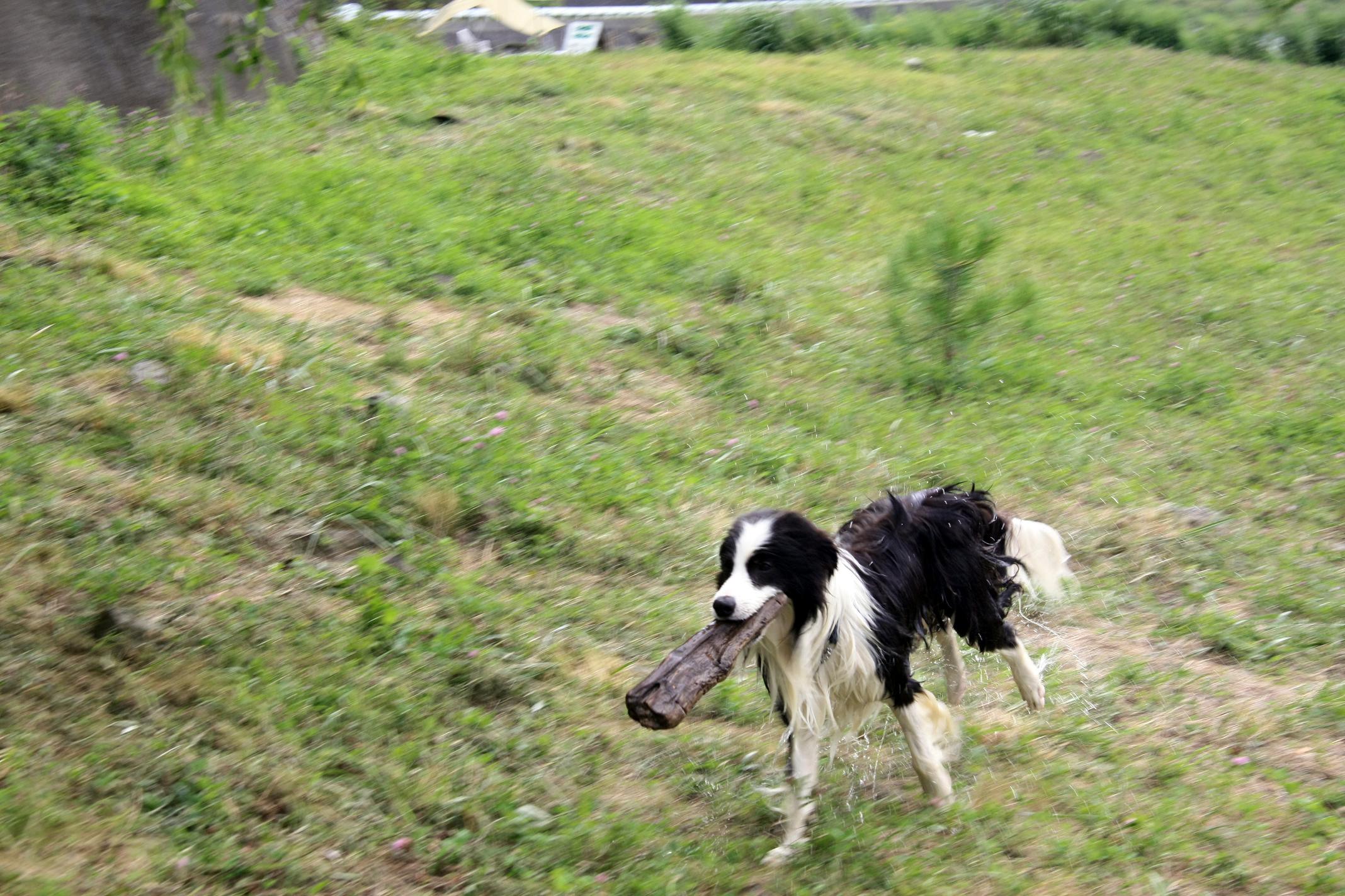 f0034602_201834.jpg