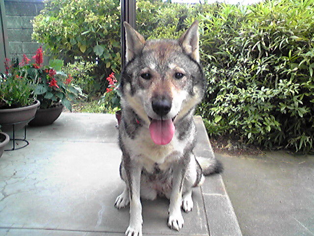 f0079202_1535444.jpg