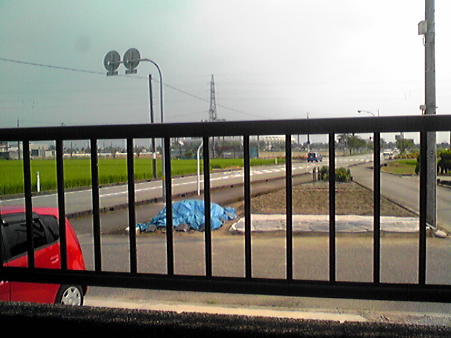 f0079202_1535447.jpg