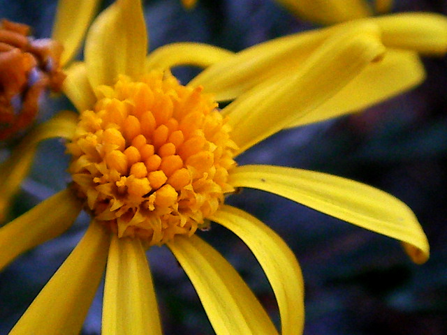a0157704_1832947.jpg