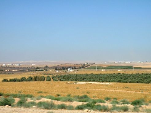c0151704_9325189.jpg
