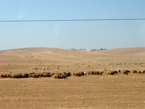 c0151704_9355263.jpg