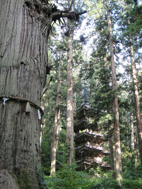 b0172805_30674.jpg