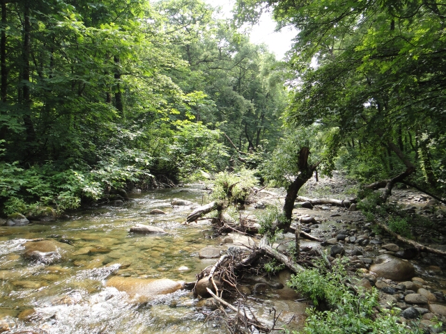 b0172805_3312685.jpg