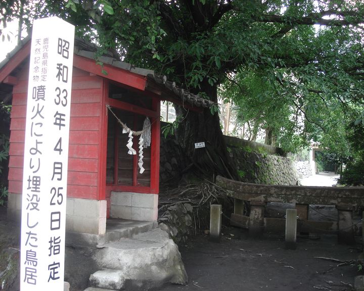 f0084806_238358.jpg