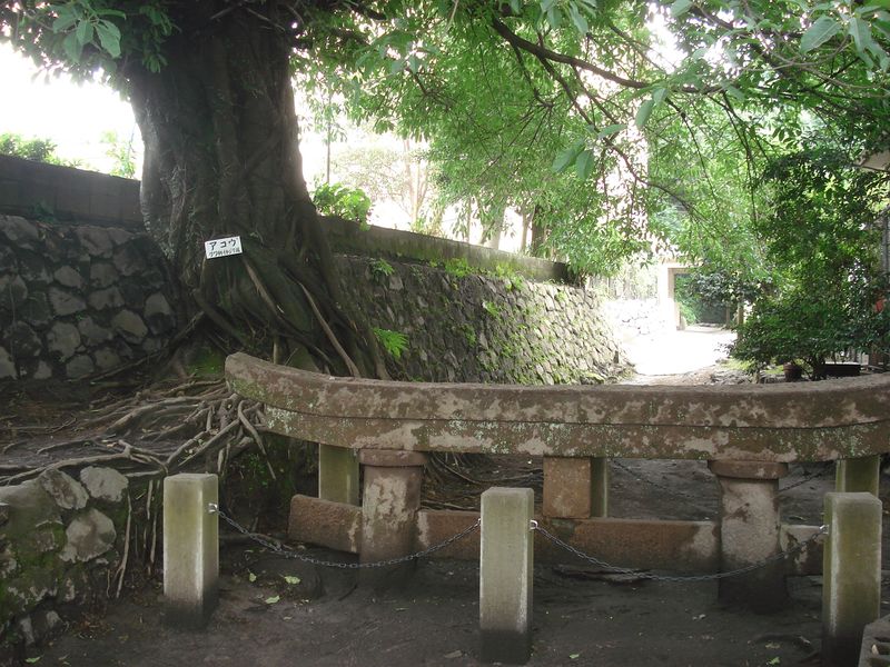 f0084806_2393654.jpg