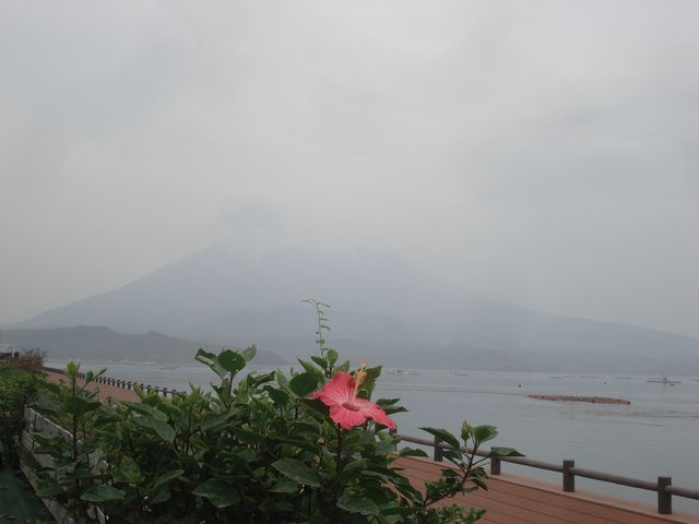 f0084806_5224415.jpg