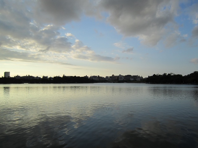 f0159406_655279.jpg