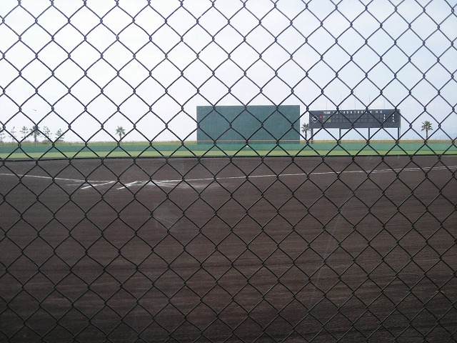 a0142107_813436.jpg