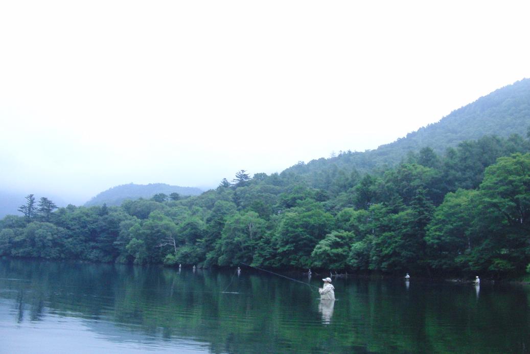 d0126708_0525828.jpg