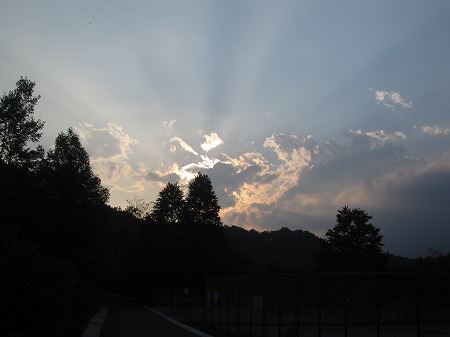 e0049409_2031560.jpg