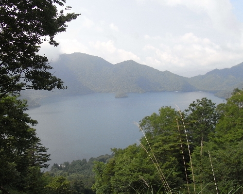 f0006510_622579.jpg