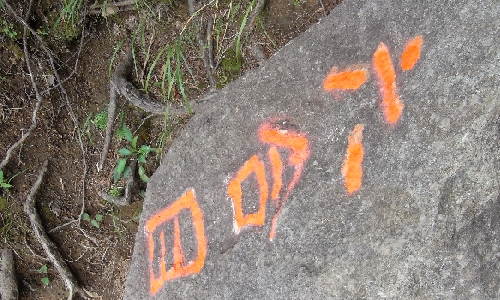 f0006510_640199.jpg