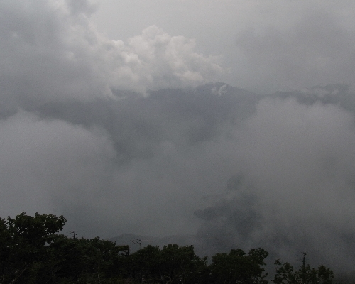 f0006510_70495.jpg