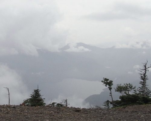 f0006510_781930.jpg