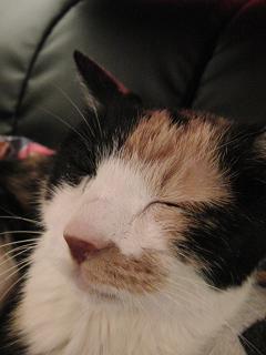 c0201113_20173418.jpg