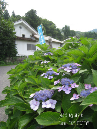 c0175715_0372749.jpg