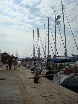 c0188818_7444024.jpg