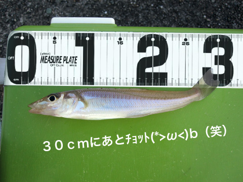 b0186119_17595957.jpg