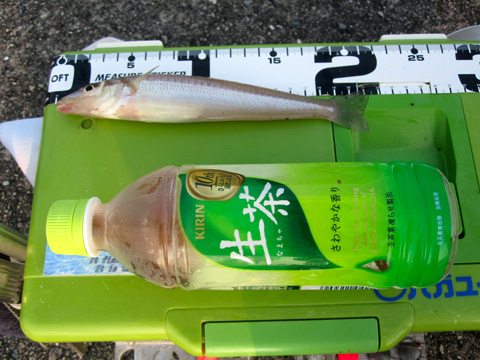 b0186119_18171359.jpg