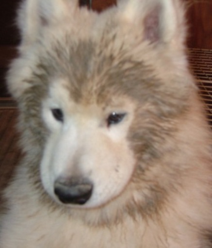 e0024126_23313236.jpg