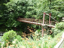 d0086228_9472299.jpg