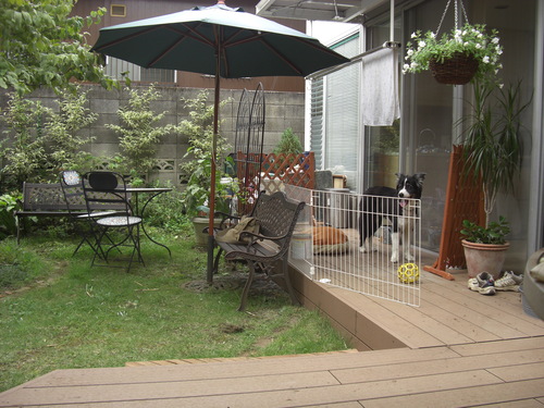 b0085331_1584997.jpg
