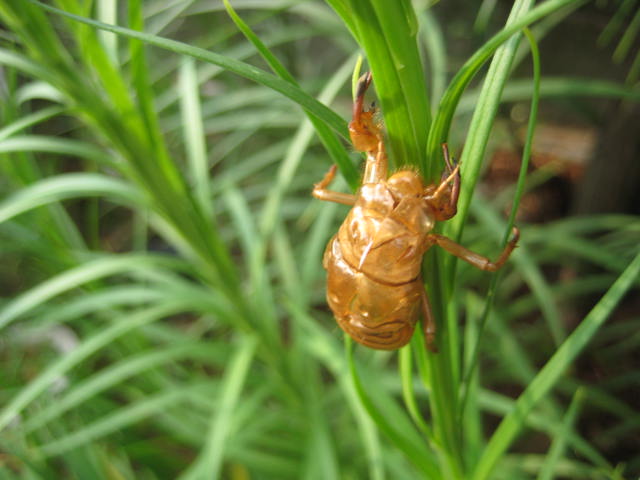 e0166032_21583482.jpg