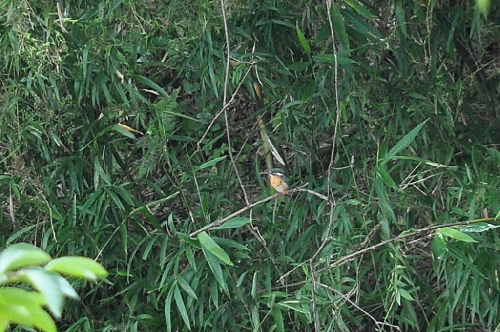 b0129533_2059350.jpg