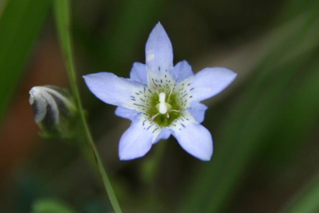 e0064133_23582350.jpg