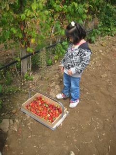 f0045736_12281494.jpg