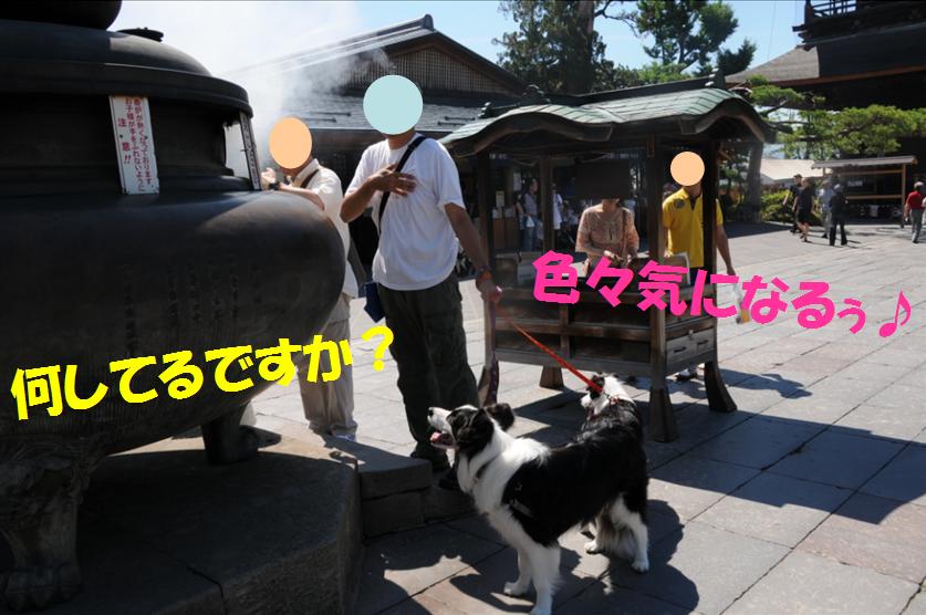 c0147241_7254556.jpg
