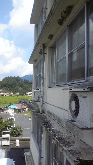 b0001143_2137210.jpg