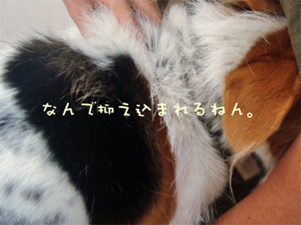c0086746_12172272.jpg
