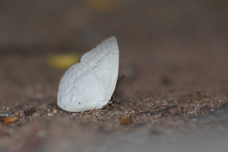 a0094850_227152.jpg