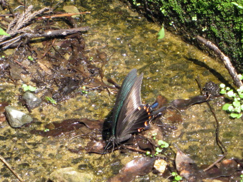 c0179351_2240213.jpg