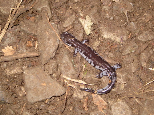 c0179351_22502579.jpg