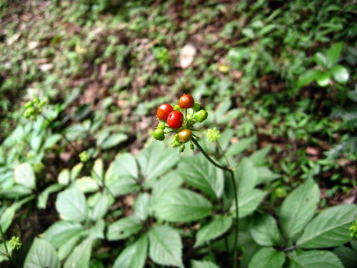 c0179351_2253193.jpg