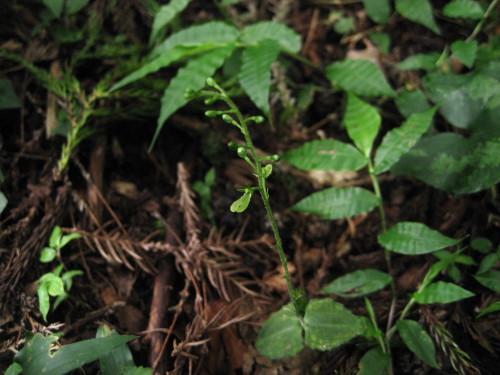 c0179351_225461.jpg