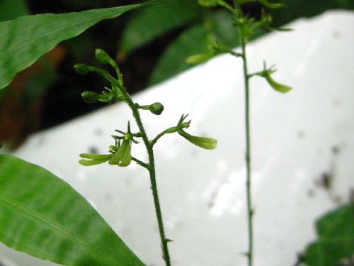 c0179351_2255639.jpg
