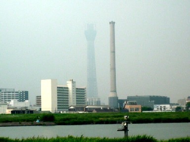 d0036951_010415.jpg
